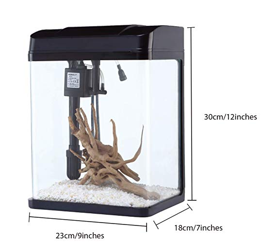 CAMRY 2.5 Gallon Starter Aquarium Fish Tank with Changeable LED Light